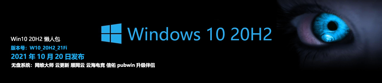 Windows 10 20H2 21Fi 懒人包